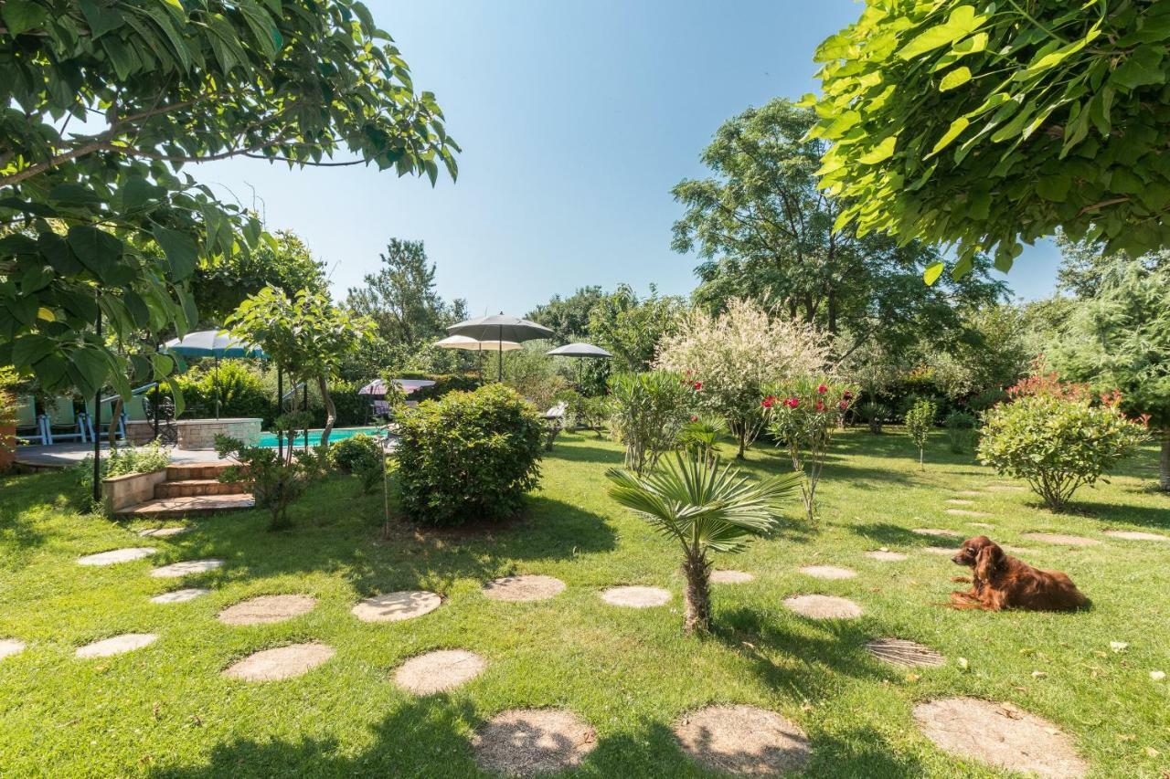 Country House Apartments