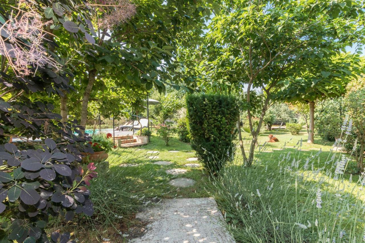 Country House Apartments Apartment